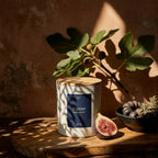Bougie parfumée Figuier JLT avec figues fraîches et feuillage dans une ambiance chaleureuse et méditerranéenne.