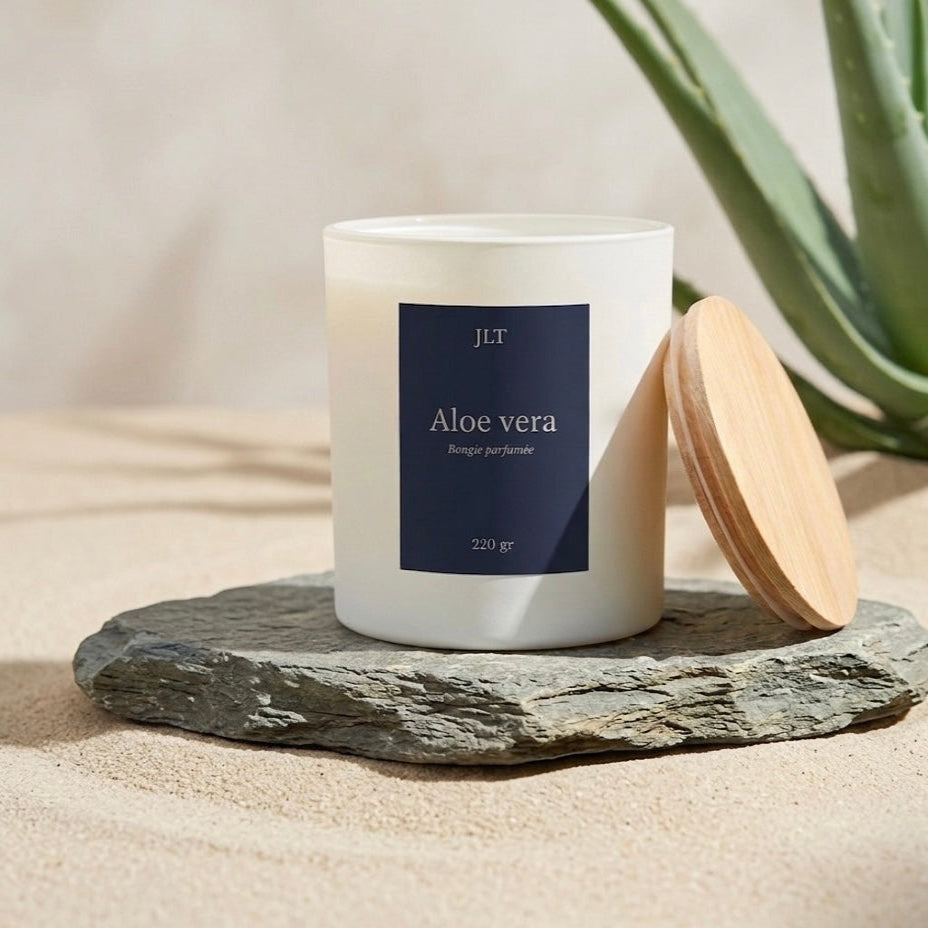 Bougie parfumée Aloe vera JLT sur pierre naturelle avec plante aloe, ambiance fraîche et végétale